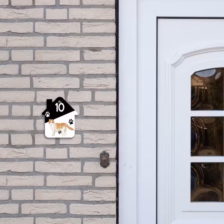 Zwart wit - Huisdier - Schotse vouwkat Naambord Huisje klein -sfeer1
