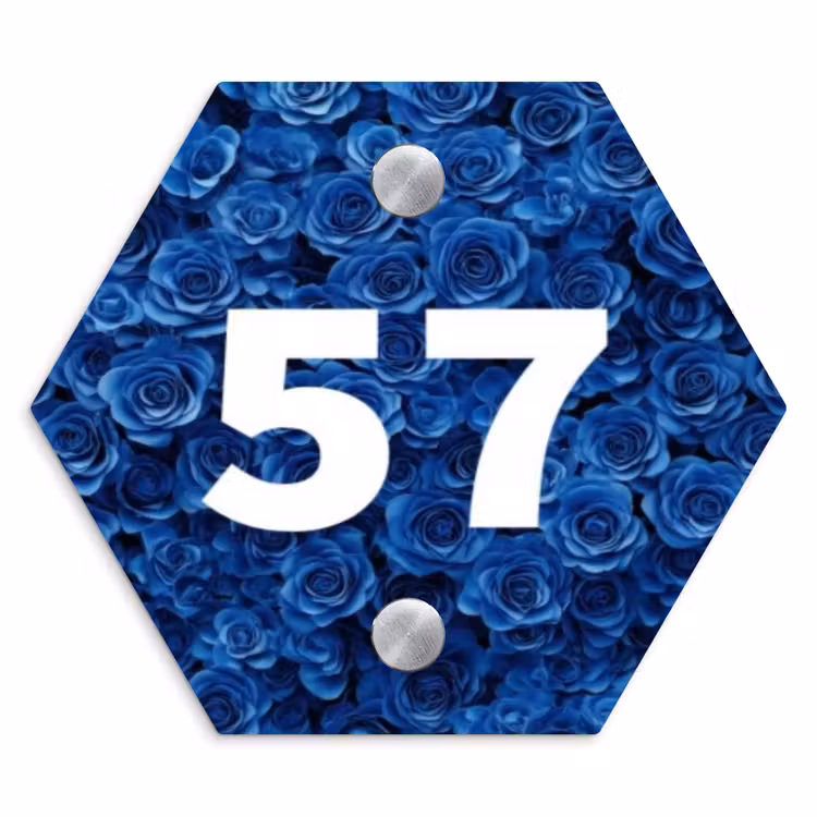 Blauwe rozen - Traditioneel Naambord Hexagon klein -3d