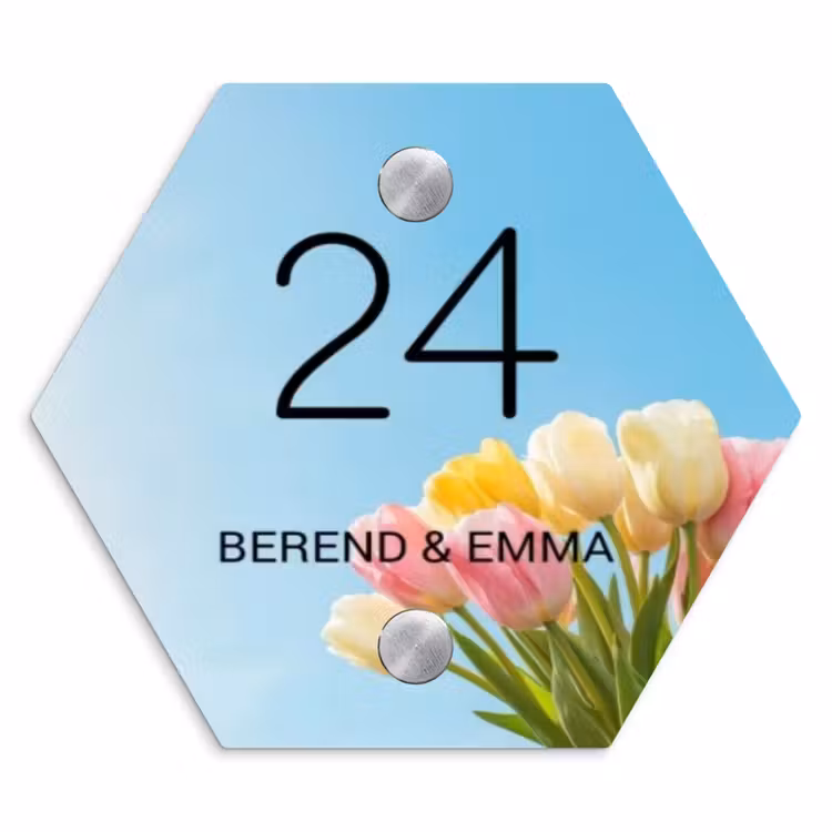 Gekleurde tulpen lucht - Klassiek Naambord Hexagon klein -3d