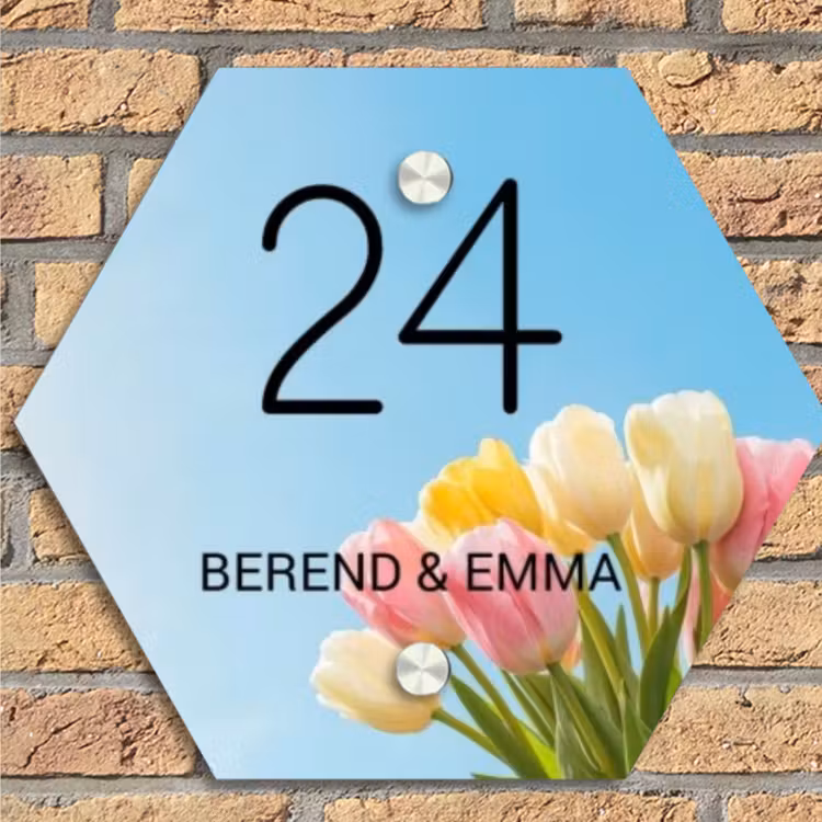 Gekleurde tulpen lucht - Klassiek Naambord Hexagon klein -sfeer1