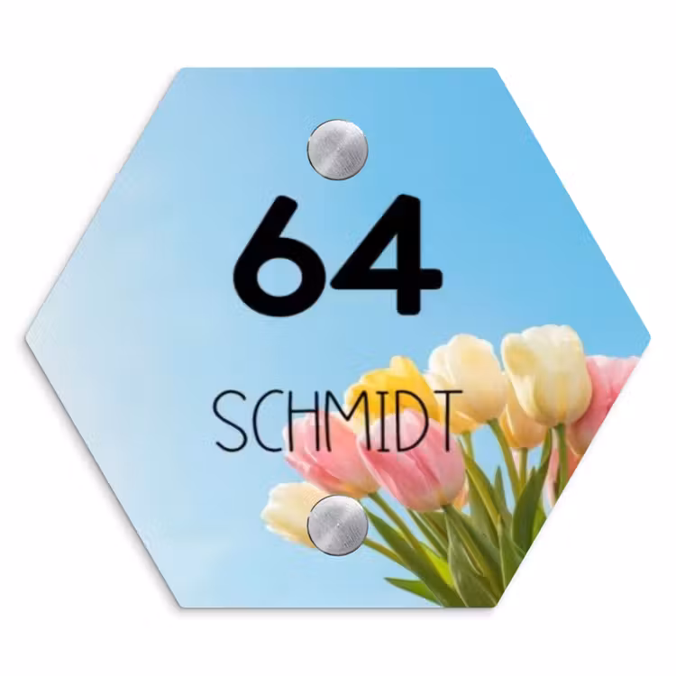 Gekleurde tulpen lucht - Modern Naambord Hexagon klein -3d
