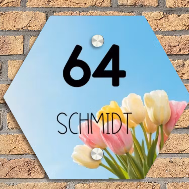 Gekleurde tulpen lucht - Modern Naambord Hexagon klein -sfeer1