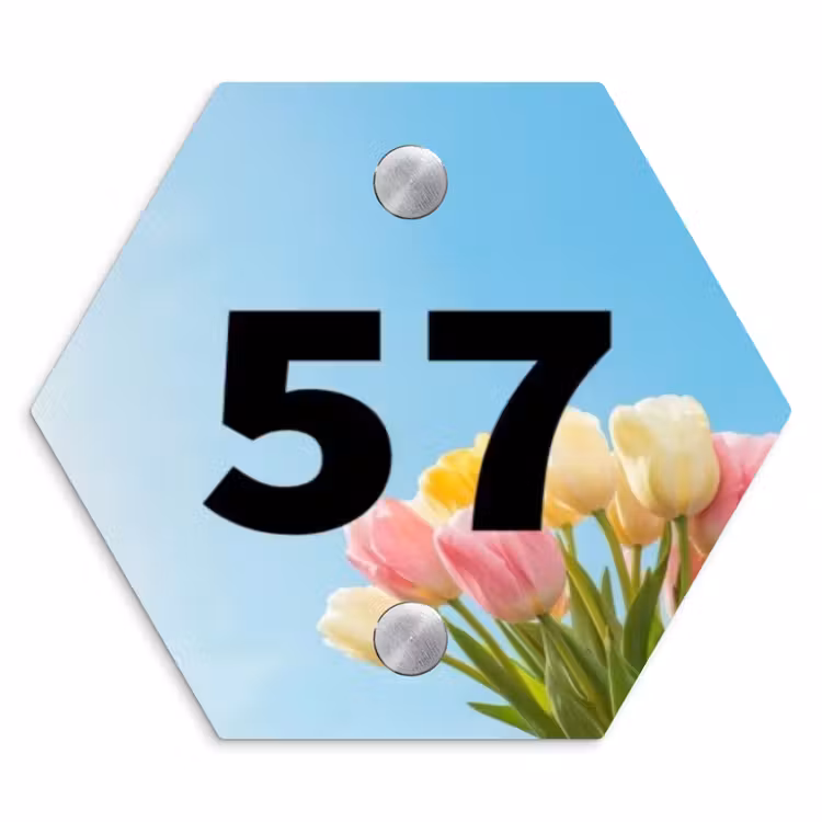 Gekleurde tulpen lucht - Traditioneel Naambord Hexagon klein -3d