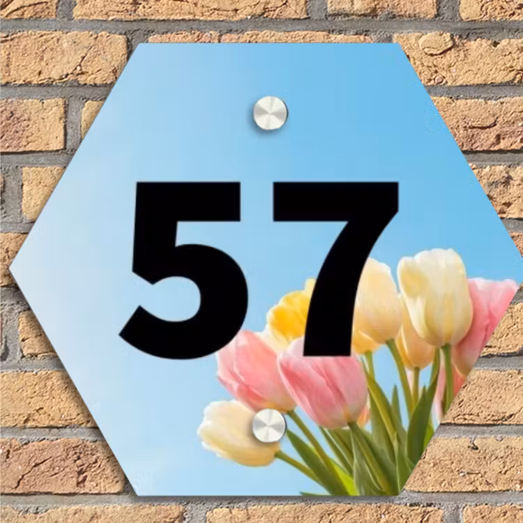 Gekleurde tulpen lucht - Traditioneel Naambord Hexagon klein -sfeer1