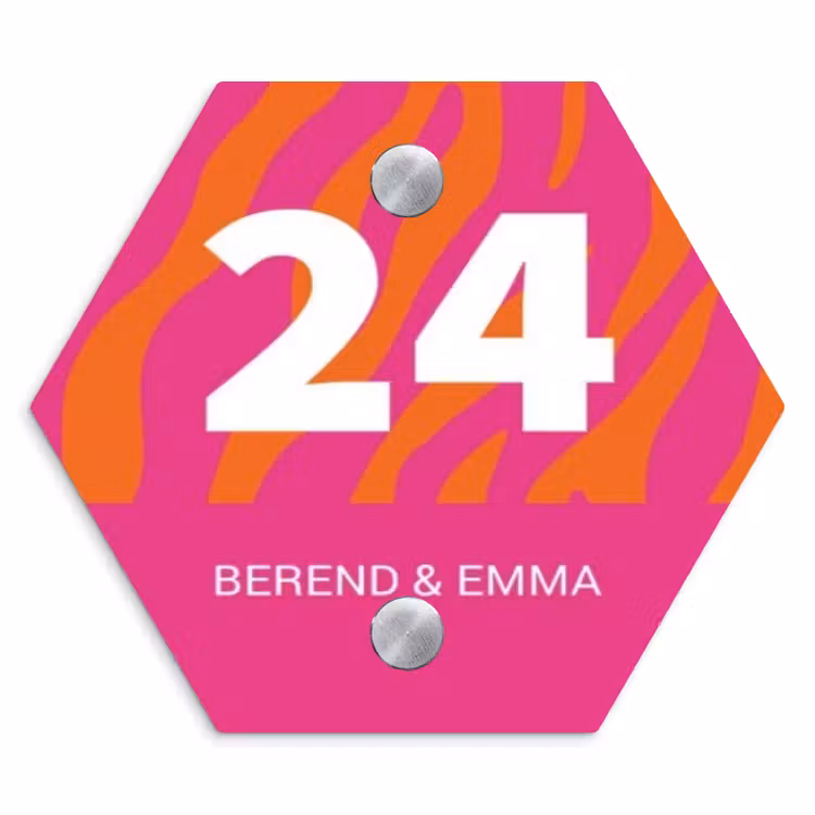 Fel - Zebra - Klassiek Naambord Hexagon klein -3d