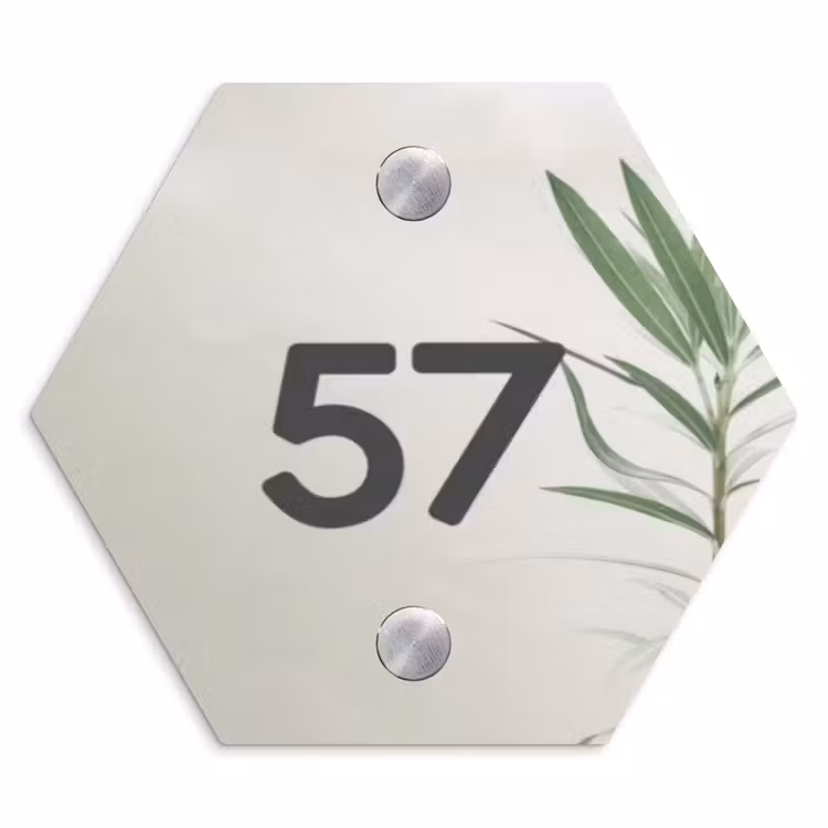 Lichtbeige met plant - Traditioneel Naambord Hexagon klein -3d