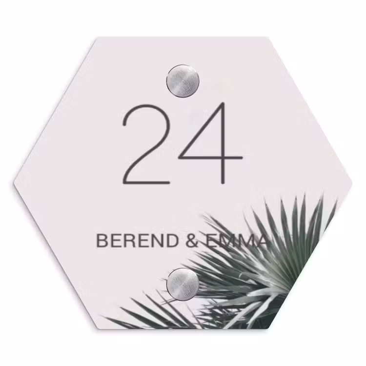Lichtroze met palmblad - Klassiek Naambord Hexagon klein -3d