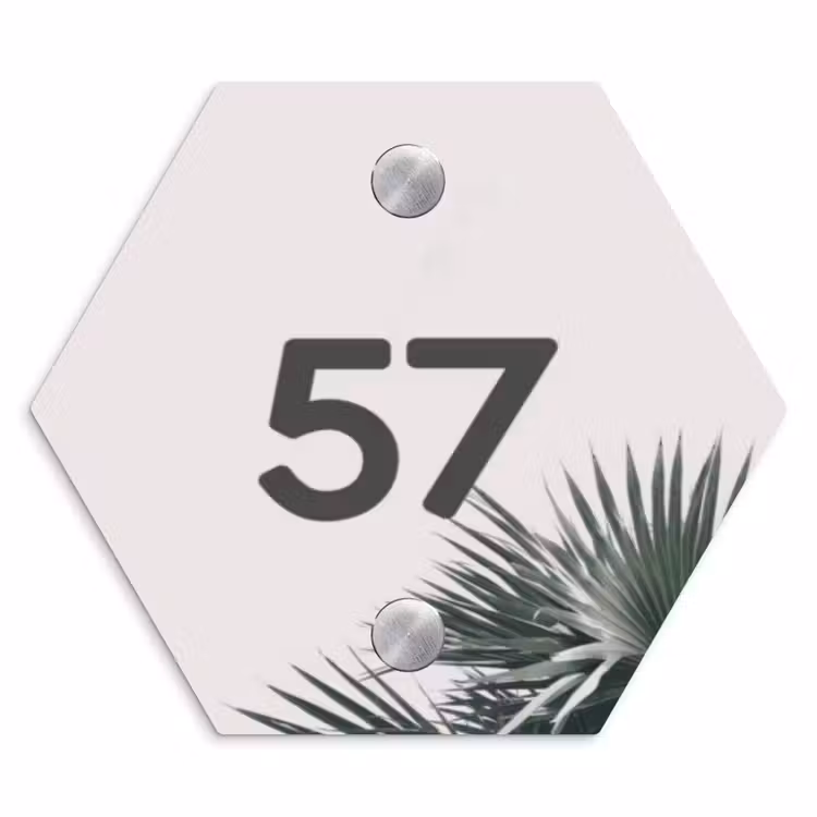 Lichtroze met palmblad - Traditioneel Naambord Hexagon klein -3d