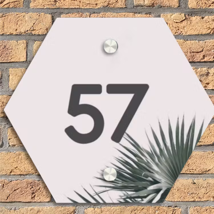 Lichtroze met palmblad - Traditioneel Naambord Hexagon klein -sfeer1