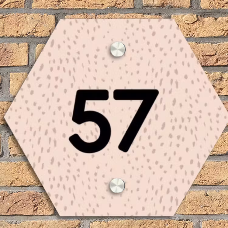 Lichtroze met stippen - Traditioneel Naambord Hexagon klein -sfeer1