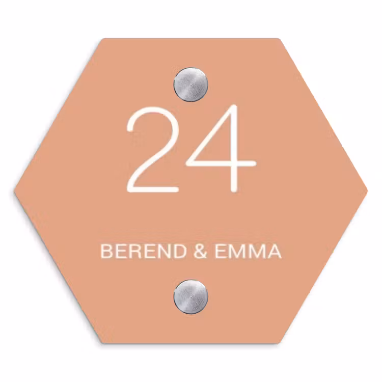 Zalmroze - Klassiek Naambord Hexagon klein -3d
