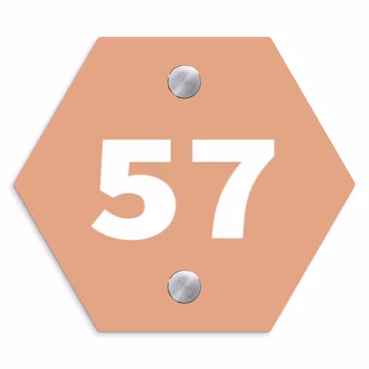 Zalmroze - Traditioneel Naambord Hexagon klein -3d