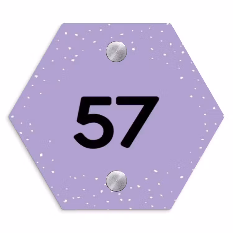 Paars met stippen - Traditioneel Naambord Hexagon klein -3d