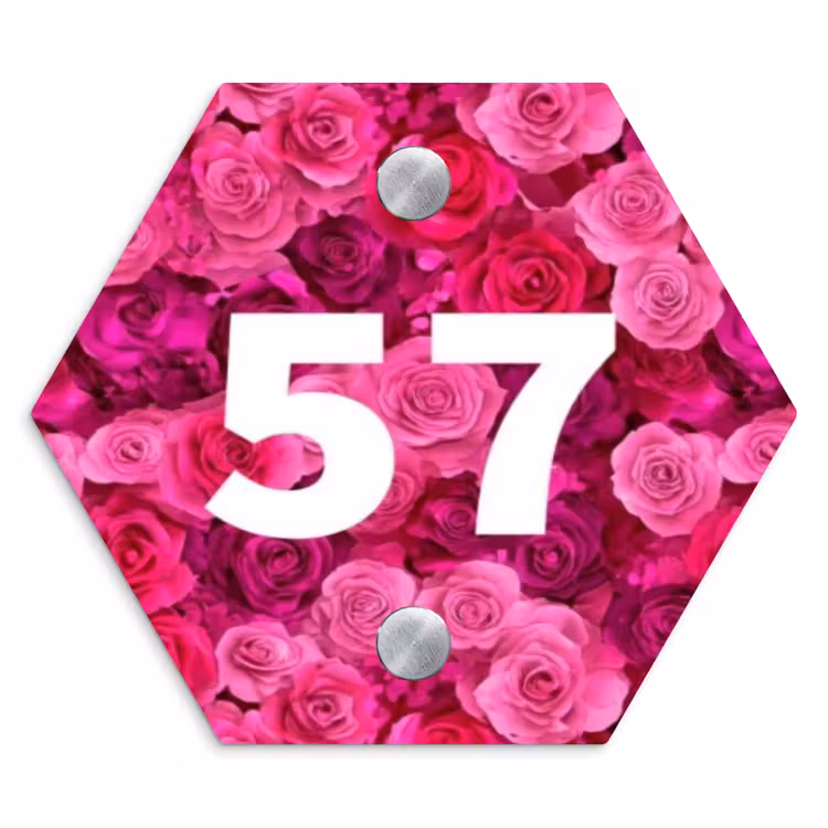 Roze rozen - Traditioneel Naambord Hexagon klein -3d
