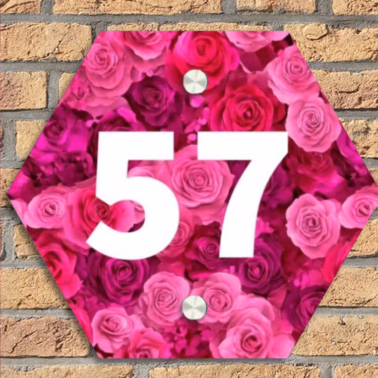 Roze rozen - Traditioneel Naambord Hexagon klein -sfeer1