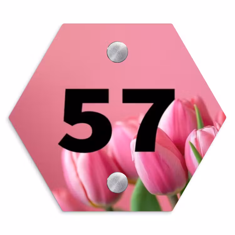 Roze tulpen - Traditioneel Naambord Hexagon klein -3d