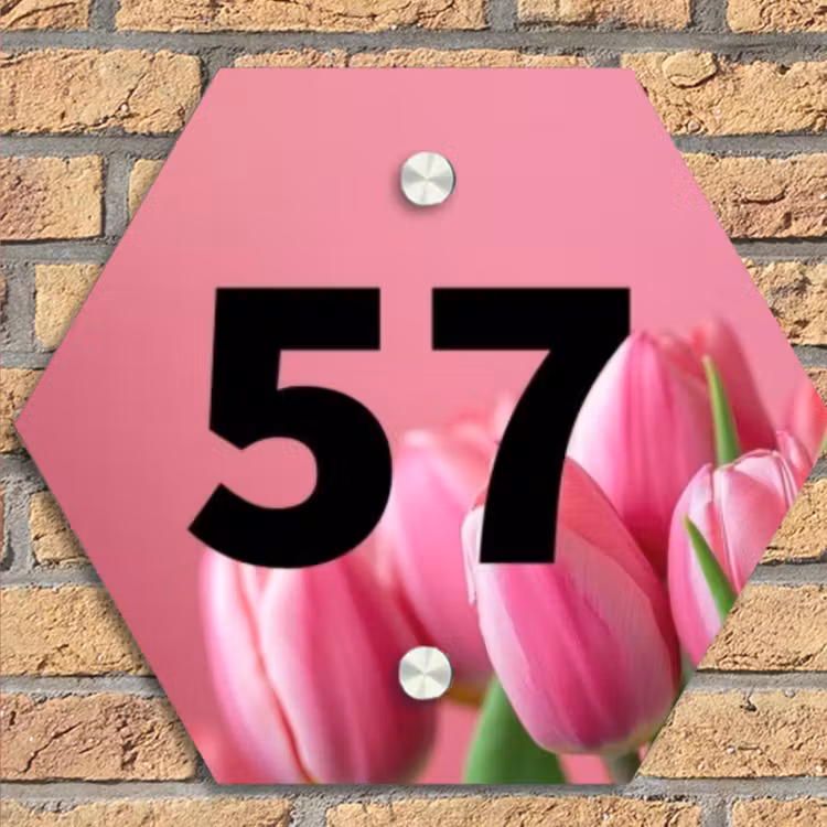 Roze tulpen - Traditioneel Naambord Hexagon klein -sfeer1