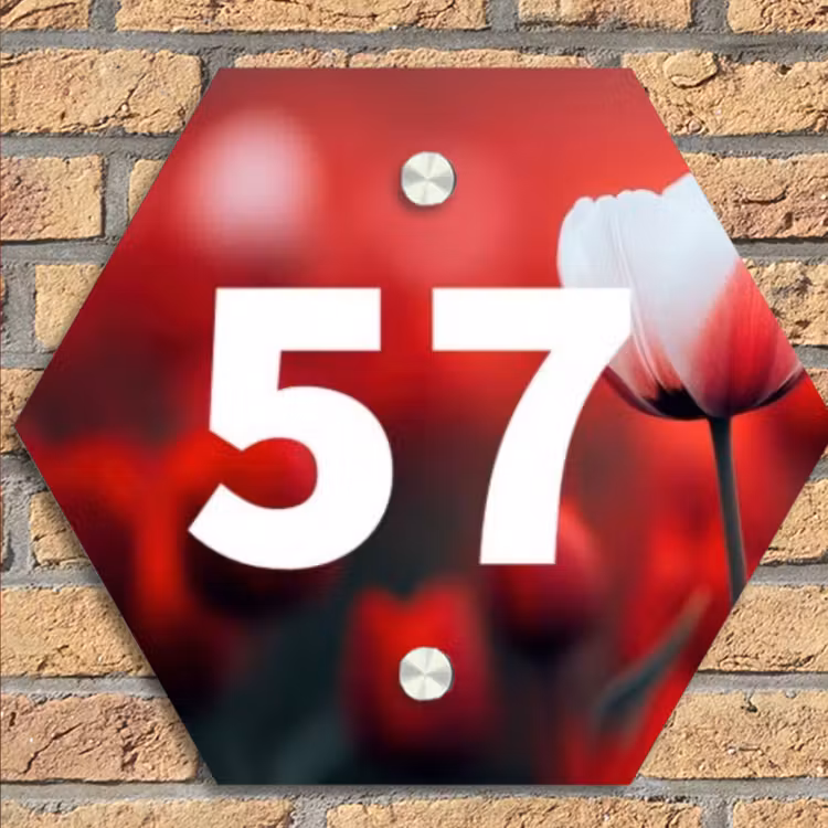 Rode tulpen - Traditioneel Naambord Hexagon klein -sfeer1