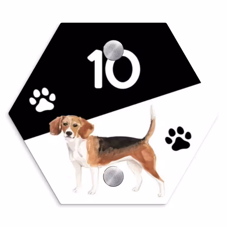Zwart wit - Huisdier - Beagle Naambord Hexagon klein -3d