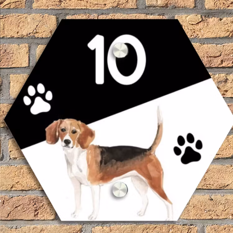 Zwart wit - Huisdier - Beagle Naambord Hexagon klein -sfeer1