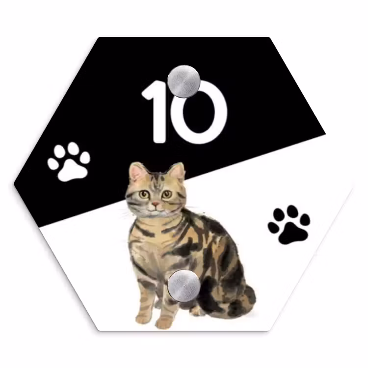 Zwart wit - Huisdier - Bruingestreepte kat Naambord Hexagon klein -3d