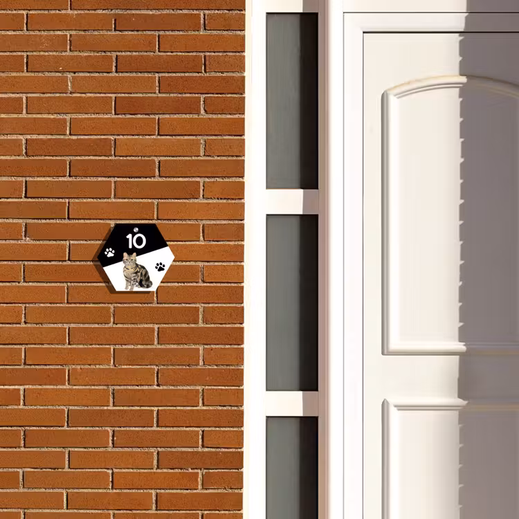 Zwart wit - Huisdier - Bruingestreepte kat Naambord Hexagon klein -sfeer3-hexagon-XS