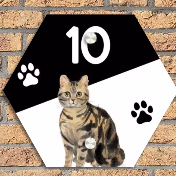 Zwart wit - Huisdier - Bruingestreepte kat Naambord Hexagon klein -sfeer1