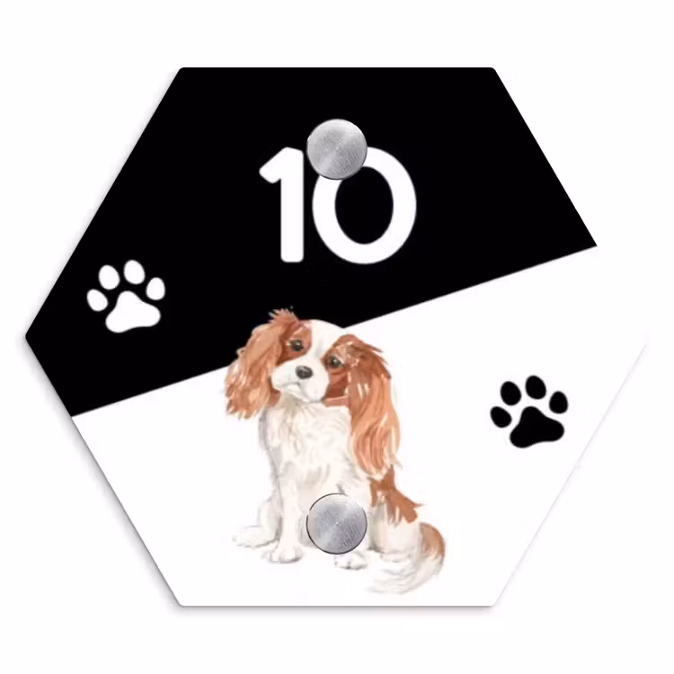 Zwart wit - Huisdier - Cavalier King Charles Spaniël Naambord Hexagon klein -3d