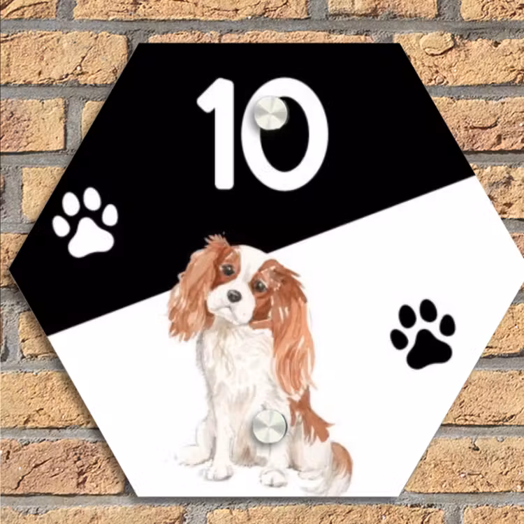 Zwart wit - Huisdier - Cavalier King Charles Spaniël Naambord Hexagon klein -sfeer1