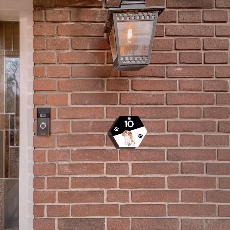Zwart wit - Huisdier - Cavalier King Charles Spaniël Naambord Hexagon klein -sfeer7-hexagon-XS