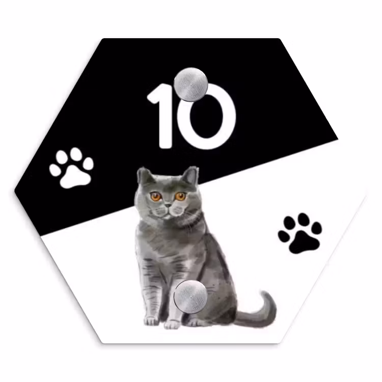 Zwart wit - Huisdier - Grijze kat Naambord Hexagon klein -3d