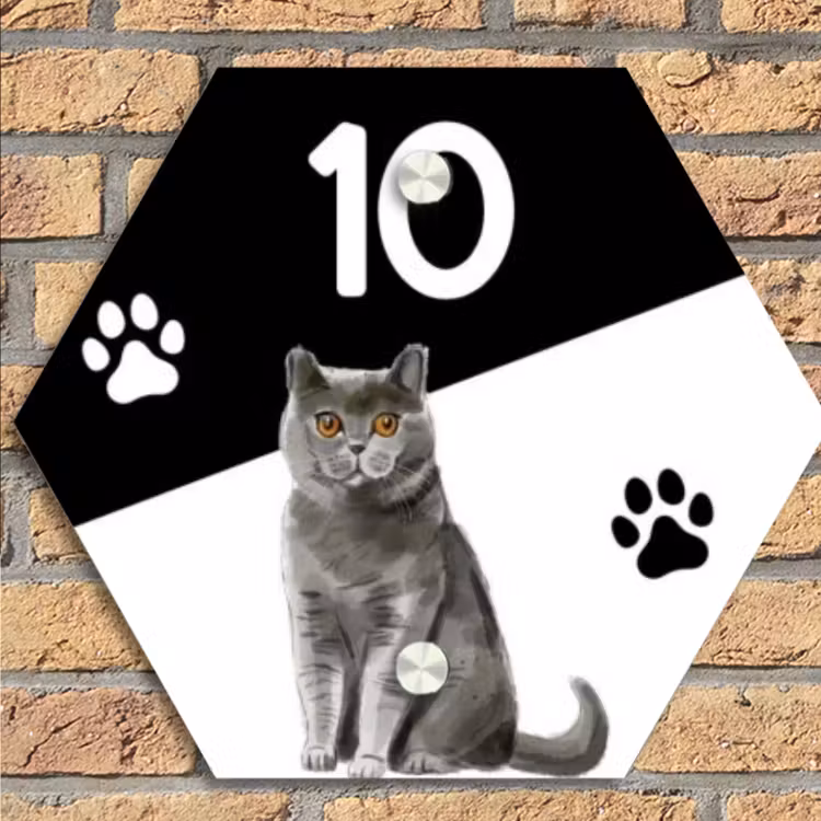 Zwart wit - Huisdier - Grijze kat Naambord Hexagon klein -sfeer1