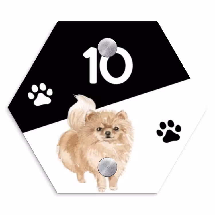 Zwart wit - Huisdier - Pomeranian Naambord Hexagon klein -3d