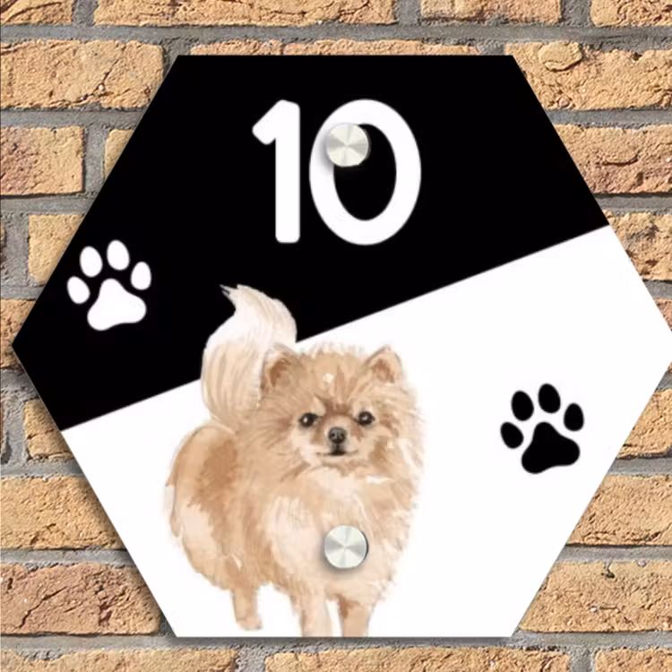 Zwart wit - Huisdier - Pomeranian Naambord Hexagon klein -sfeer1