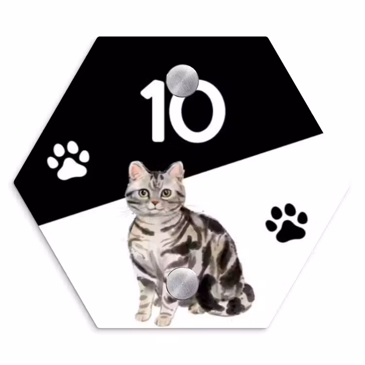 Zwart wit - Huisdier - Zilvergrijs gestreepte kat Naambord Hexagon klein -3d