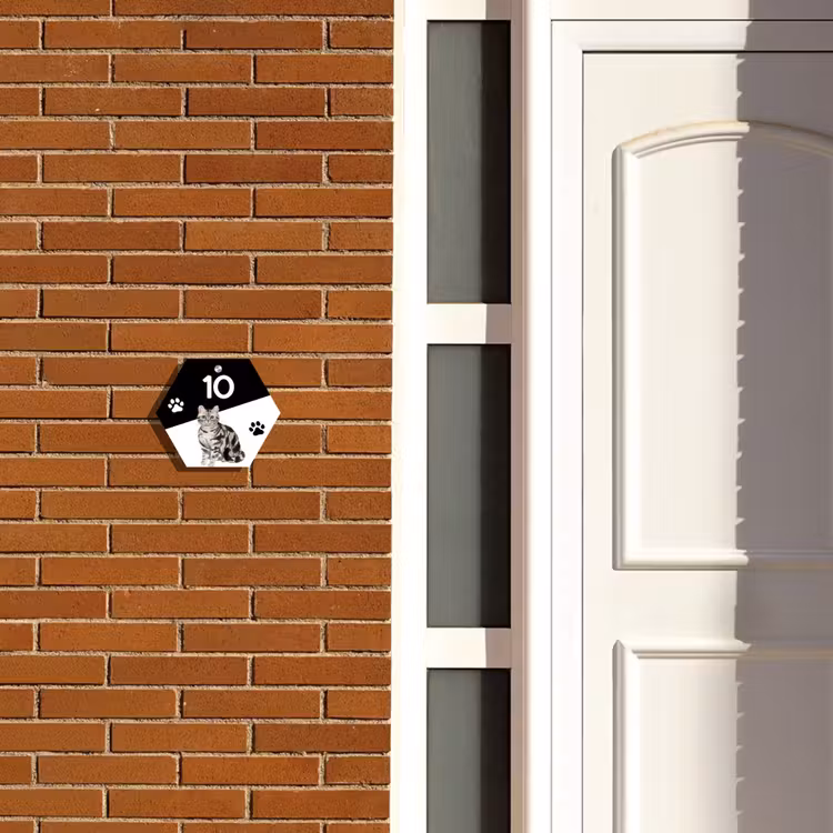 Zwart wit - Huisdier - Zilvergrijs gestreepte kat Naambord Hexagon klein -sfeer3-hexagon-XS