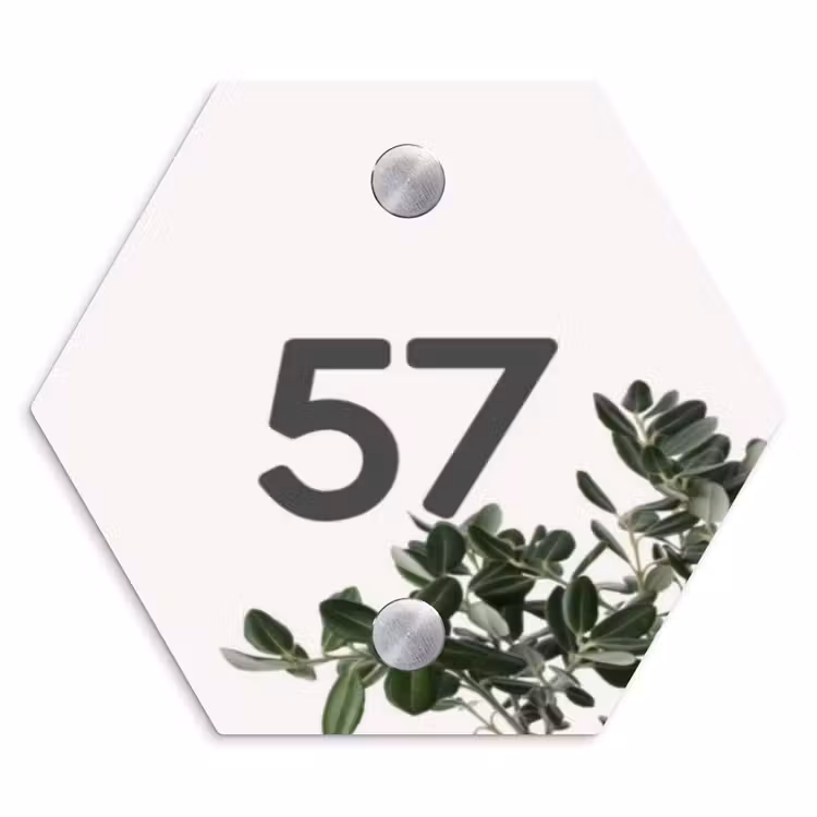 Wit met bladeren - Traditioneel Naambord Hexagon klein -3d