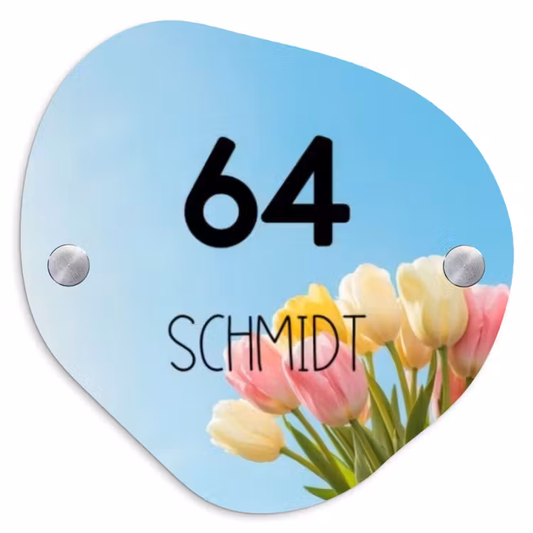 Gekleurde tulpen lucht - Modern Naambord Organisch middel -3d