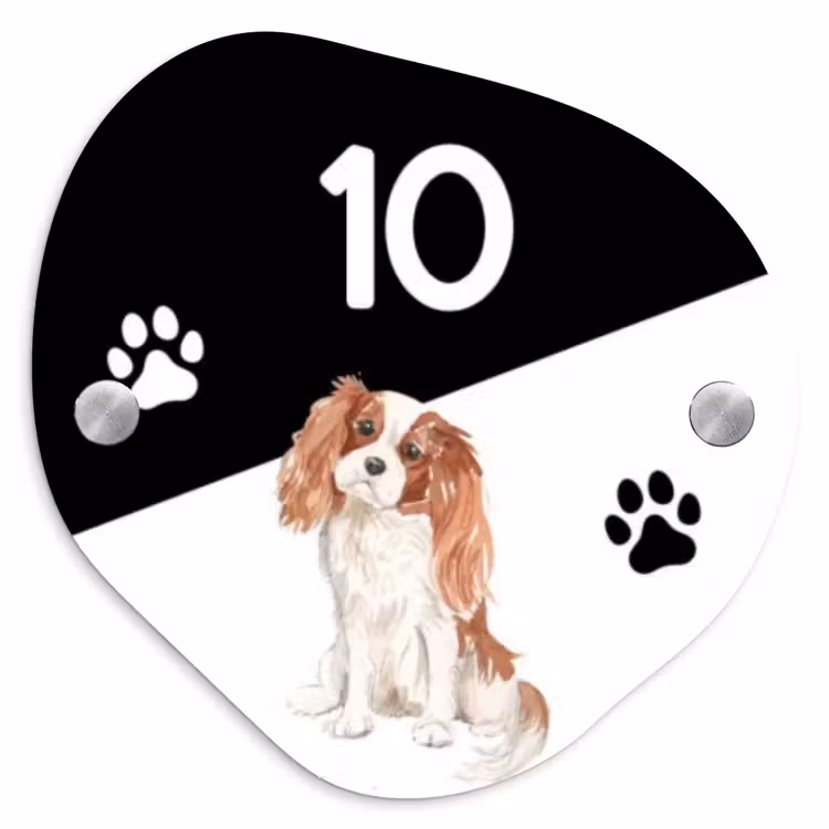 Zwart wit - Huisdier - Cavalier King Charles Spaniël Naambord Organisch middel -3d
