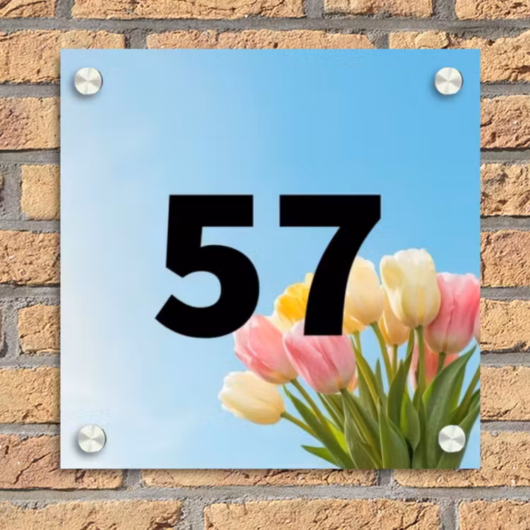 Gekleurde tulpen lucht - Traditioneel Naambord Vierkant klein -sfeer1