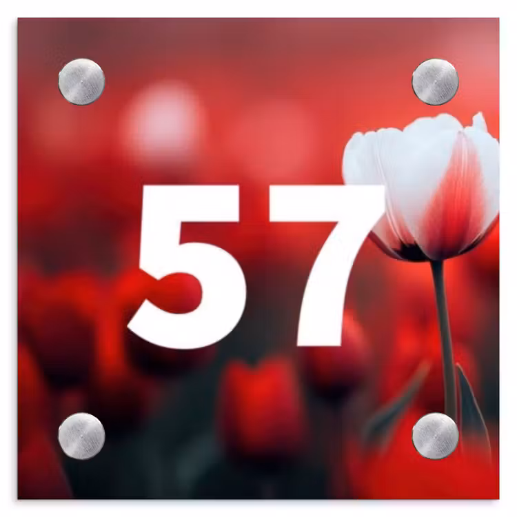 Rode tulpen - Traditioneel Naambord Vierkant klein -3d