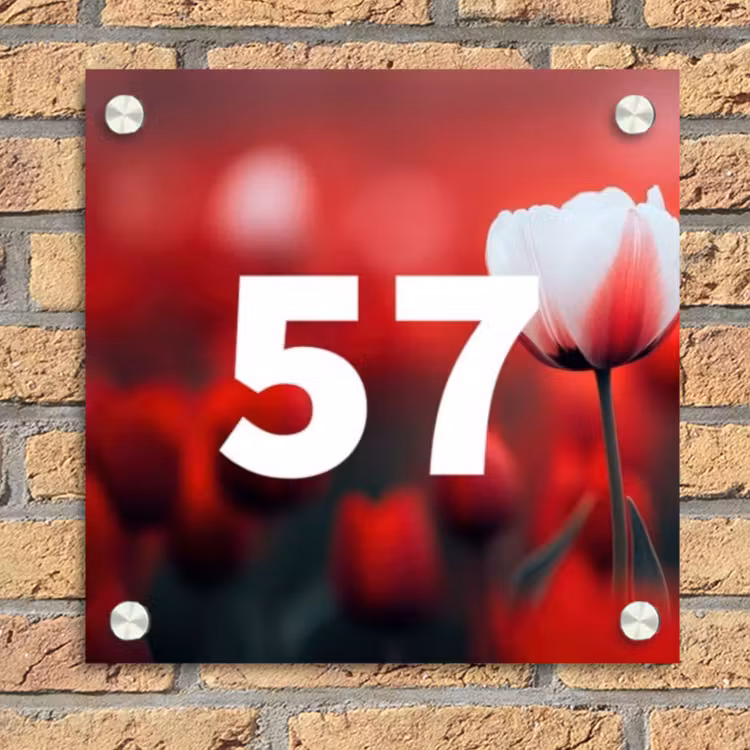 Rode tulpen - Traditioneel Naambord Vierkant klein -sfeer1