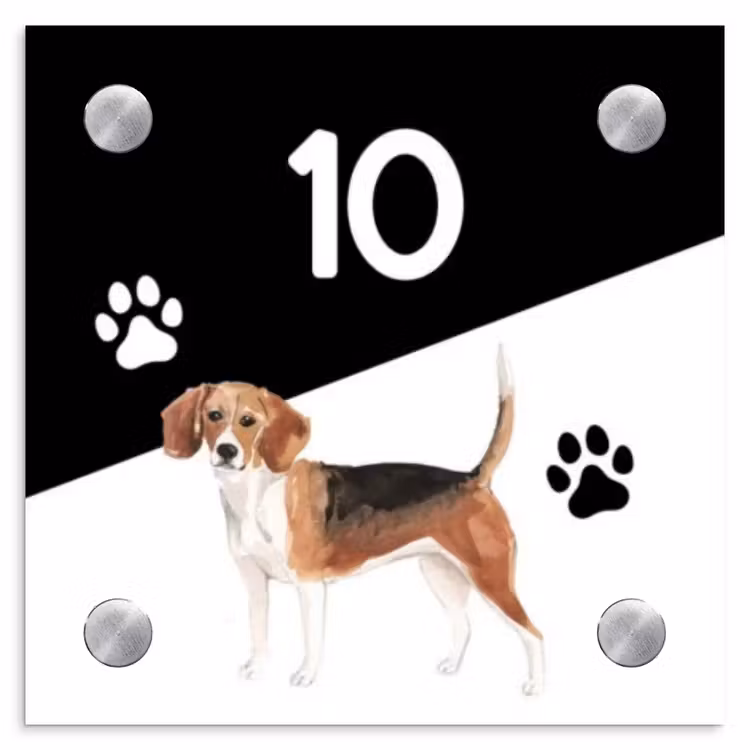 Zwart wit - Huisdier - Beagle Naambord Vierkant klein -3d