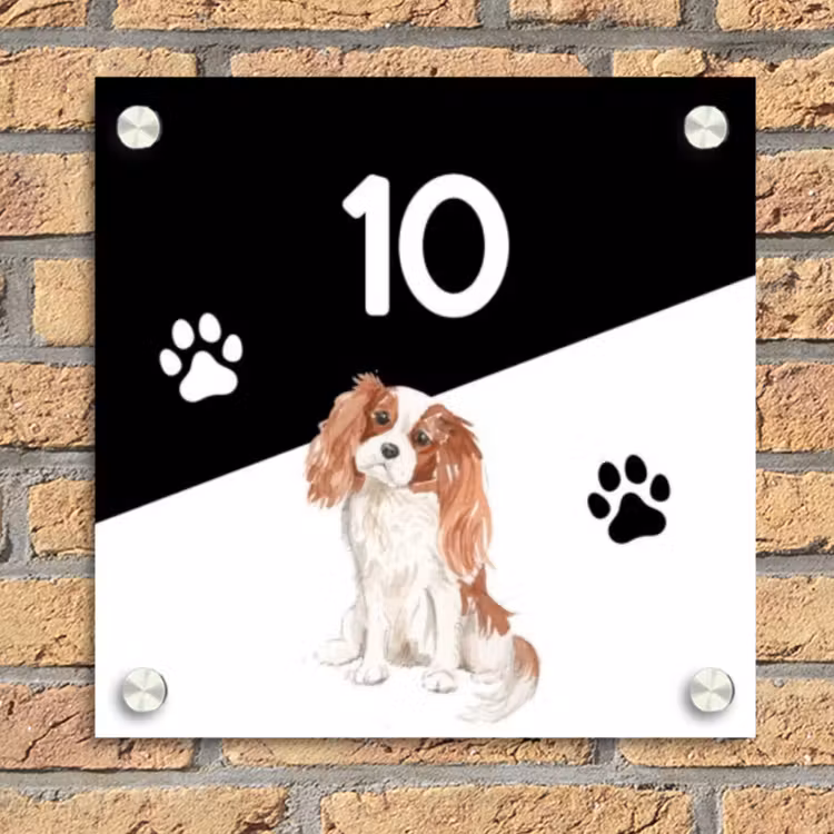 Zwart wit - Huisdier - Cavalier King Charles Spaniël Naambord Vierkant klein -sfeer1