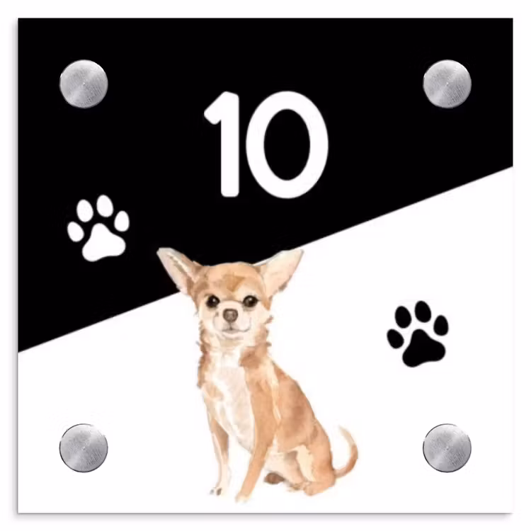 Zwart wit - Huisdier - Chihuahua Naambord Vierkant klein -3d