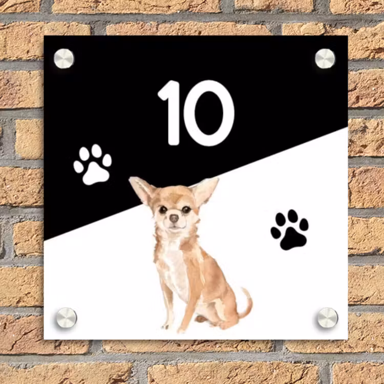 Zwart wit - Huisdier - Chihuahua Naambord Vierkant klein -sfeer1
