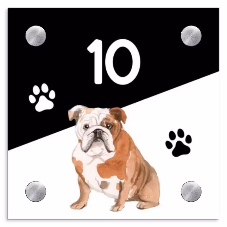 Zwart wit - Huisdier - Engelse bulldog Naambord Vierkant klein -3d