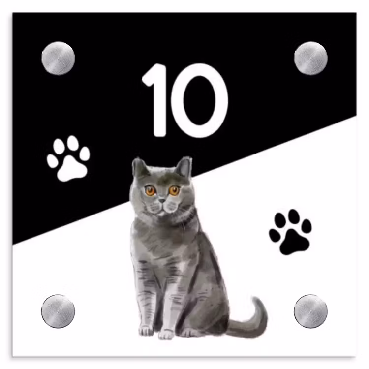 Zwart wit - Huisdier - Grijze kat Naambord Vierkant klein -3d