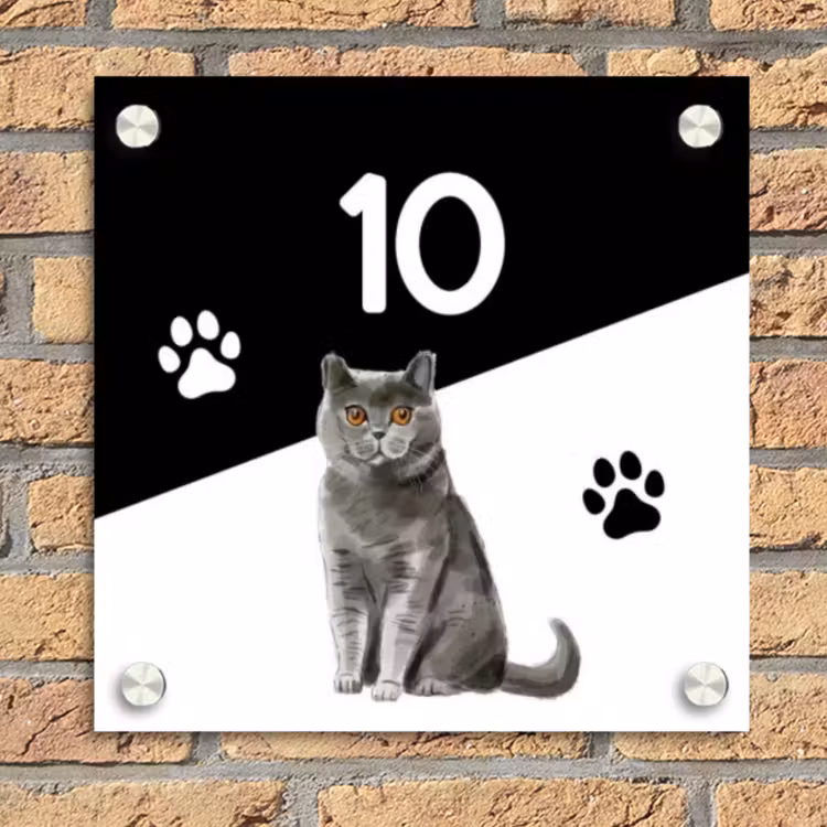 Zwart wit - Huisdier - Grijze kat Naambord Vierkant klein -sfeer1