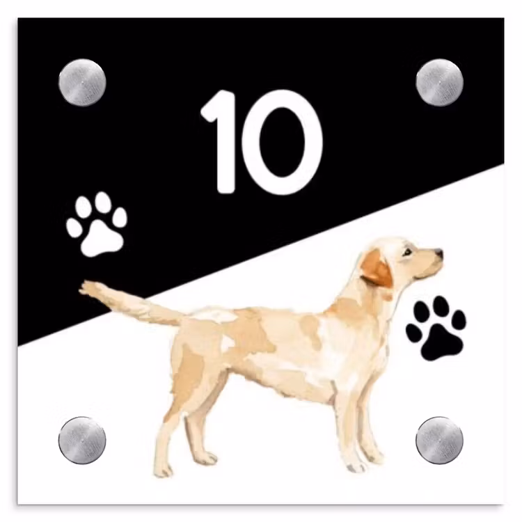 Zwart wit - Huisdier - Labrador Naambord Vierkant klein -3d